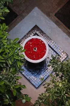 Riad Green Mango & Spa (Adults Only) Marrakesh