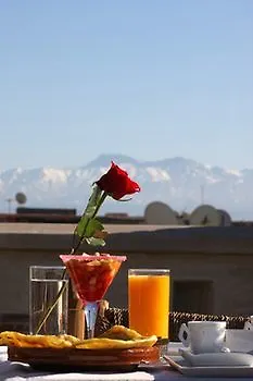 Riad Green Mango & Spa (Adults Only) Marrakesh