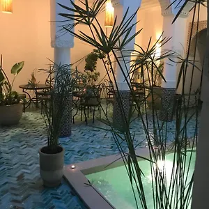 Dollar Des Sables & *** Marrakesh
