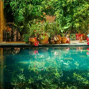 Roxanne *** Marrakesh